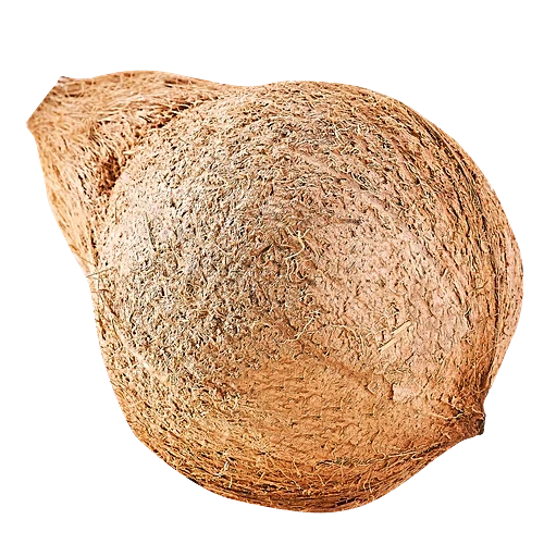 10000093-5_2-fresho-coconut-medium