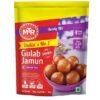 MTR Gulab Jamun Mix (Single Rate)180g