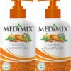 Medimix Handwash - Sandal 250 ml each (Buy 1 Get 1 Free)